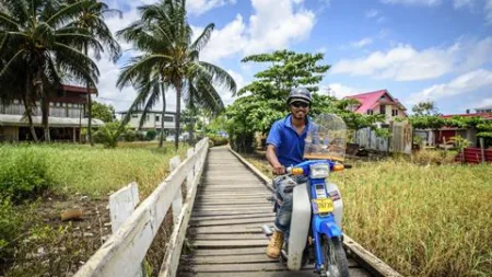 Alternative view of 16 daagse singlereis Suriname Compleet