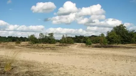 Alternative view of 5 dg singlereis Fietsen door Bourgondisch Brabant