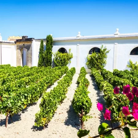 Andalusië en het onbekende zuiden - fly drive