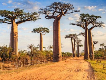 Madagaskar - privéreis