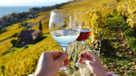 Proeven van de Bourgogne - autovakantie