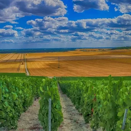 Tour de Champagne - autovakantie