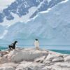 Groepsrondreis Antarctica