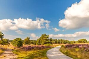 5 daagse singlereis Fietsen op de Veluwe