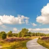 5 daagse singlereis Fietsen op de Veluwe