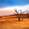Namibië - fly drive