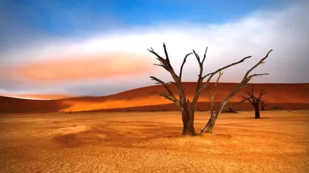 Namibië - fly drive
