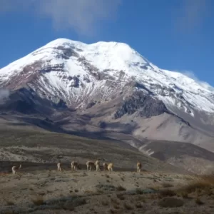 Rondreis Ecuador