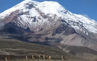 Rondreis Ecuador