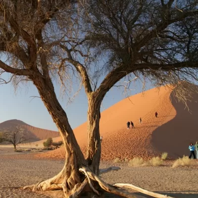 Rondreis Namibië