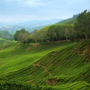 Rondreis Maleisisch Borneo