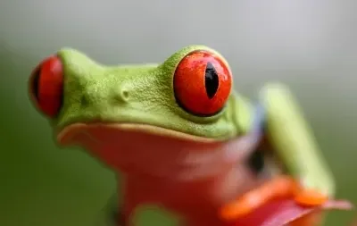 Wandel- en Fietsreis Costa Rica