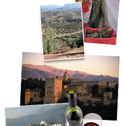 Wandelreis Andalusië - Spanje