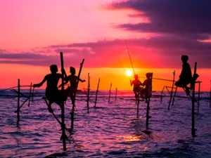 Groepsreis Sri Lanka: Cultuur & Strand; Schatten van Ceylon