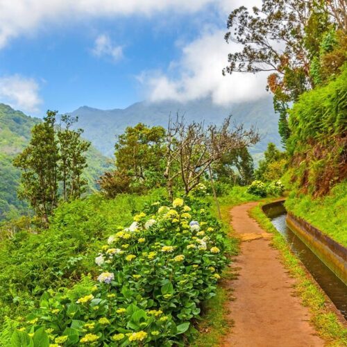 Alternative view of 8 daagse singlereis Veelzijdig Madeira