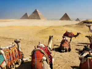 Single rondreis Egypte (2 weken) ; Van Noord naar Zuid