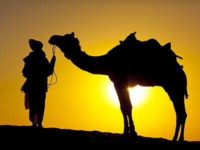 Single rondreis India Rajasthan (3 weken); Het land van de Maharadja's