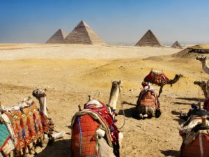Rondreis Egypte (2 weken) ; Van Noord naar Zuid