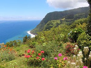 Rondreis Azoren Eilandhoppen (10 dagen); Een natuurbelevenis op São Miguel en Terceira