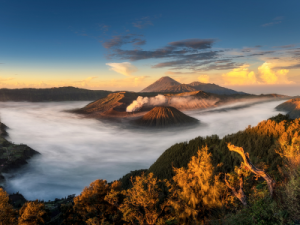 Rondreis Indonesië: Java