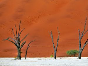 Rondreis Zuidelijk Afrika (3 weken); Kamperen tussen de nijlpaarden