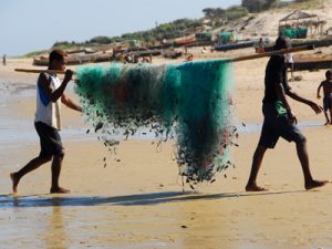 Rondreis Madagascar (3 weken); Unieke flora en fauna