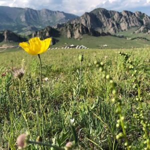 Rondreis Mongolië (2 weken) ; Het ongerepte Wilde Oosten