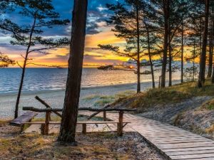 Rondreis Polen & Baltische Staten (2 weken); Eeuwenoude steden en verrassende natuur