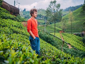 Rondreis Zuid-India (3 weken); Thali's en tempels in de tropen