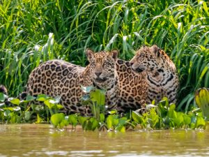 Rondreis Argentinië