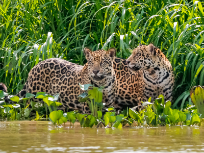 Rondreis Argentinië