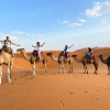 Rondreis Marokko Zuid (2 weken); Van woestijn naar zee