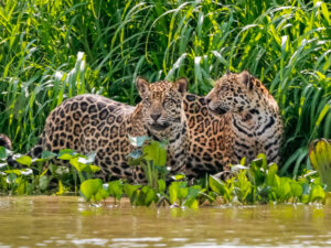 Rondreis Argentinië