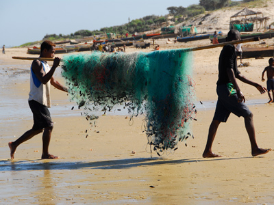 Rondreis Madagascar (3 weken); Unieke flora en fauna