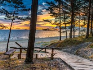 Rondreis Polen & Baltische Staten (2 weken); Eeuwenoude steden en verrassende natuur
