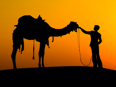 Rondreis India Rajasthan (3 weken); Het land van de Maharadja's