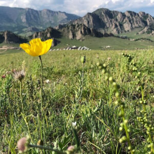 Rondreis Mongolië (2 weken) ; Het ongerepte Wilde Oosten