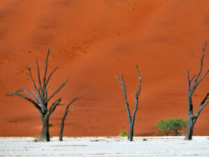 Rondreis Zuidelijk Afrika (3 weken); Kamperen tussen de nijlpaarden