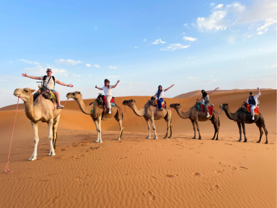 Rondreis Marokko Zuid (2 weken); Van woestijn naar zee
