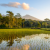 Rondreis Indonesië: Bali