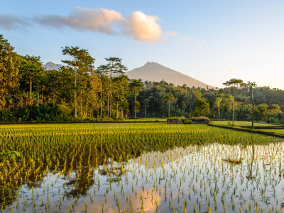 Rondreis Indonesië: Bali