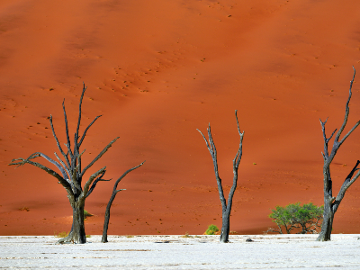 Rondreis Zuidelijk Afrika (3 weken); Kamperen tussen de nijlpaarden